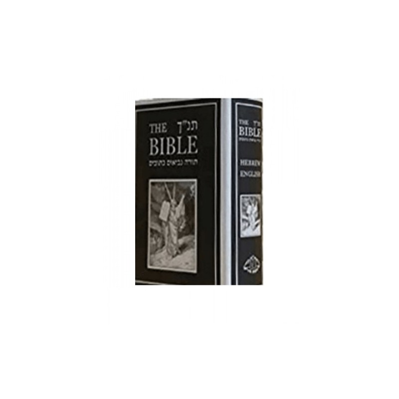 bible with hebrew english transliteration pdf