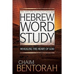 Hebrew Word Study Bible